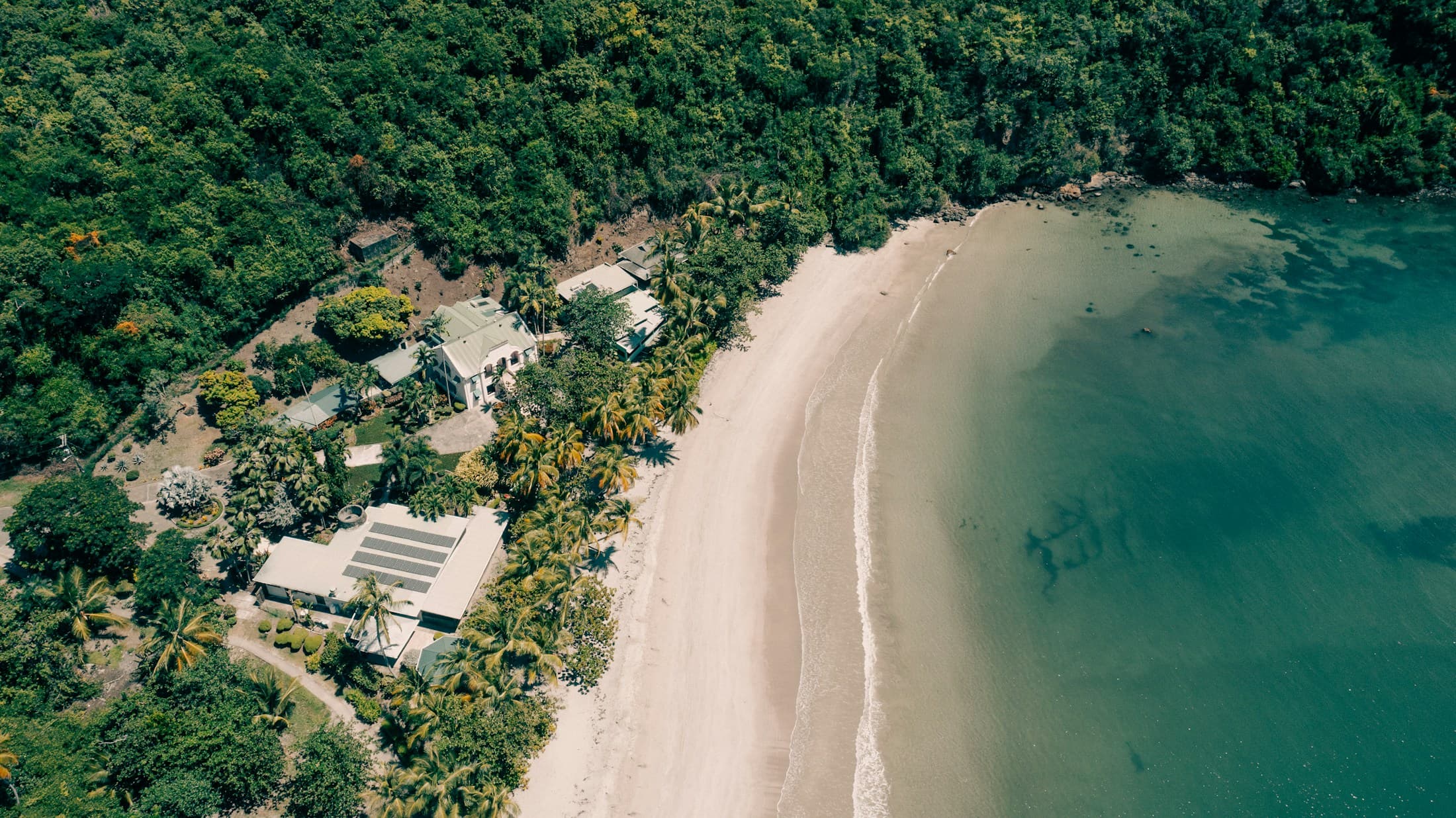 Aerial view of a secluded tropical coastline with trees and pale sand.