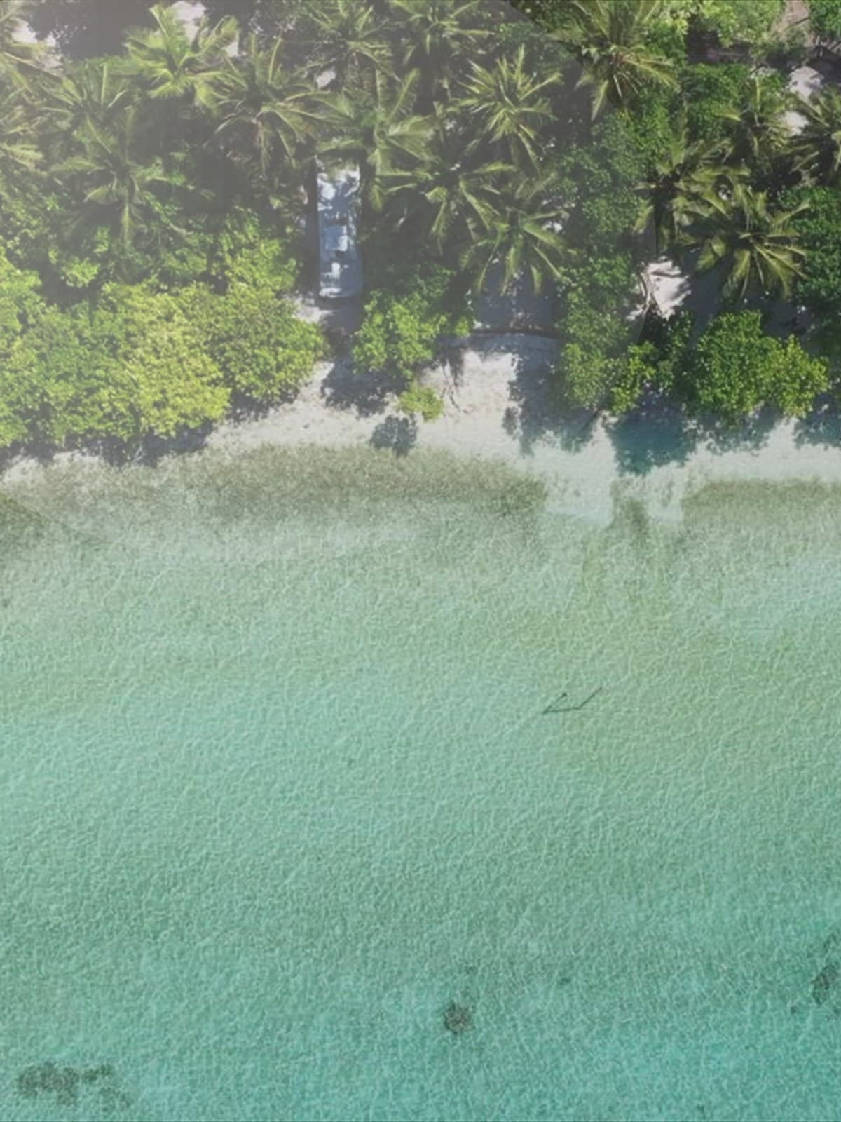 Couple embracing outdoors at sunset.