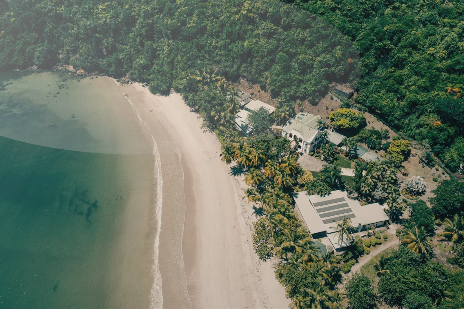 Family holding hands on the beach at sunset.